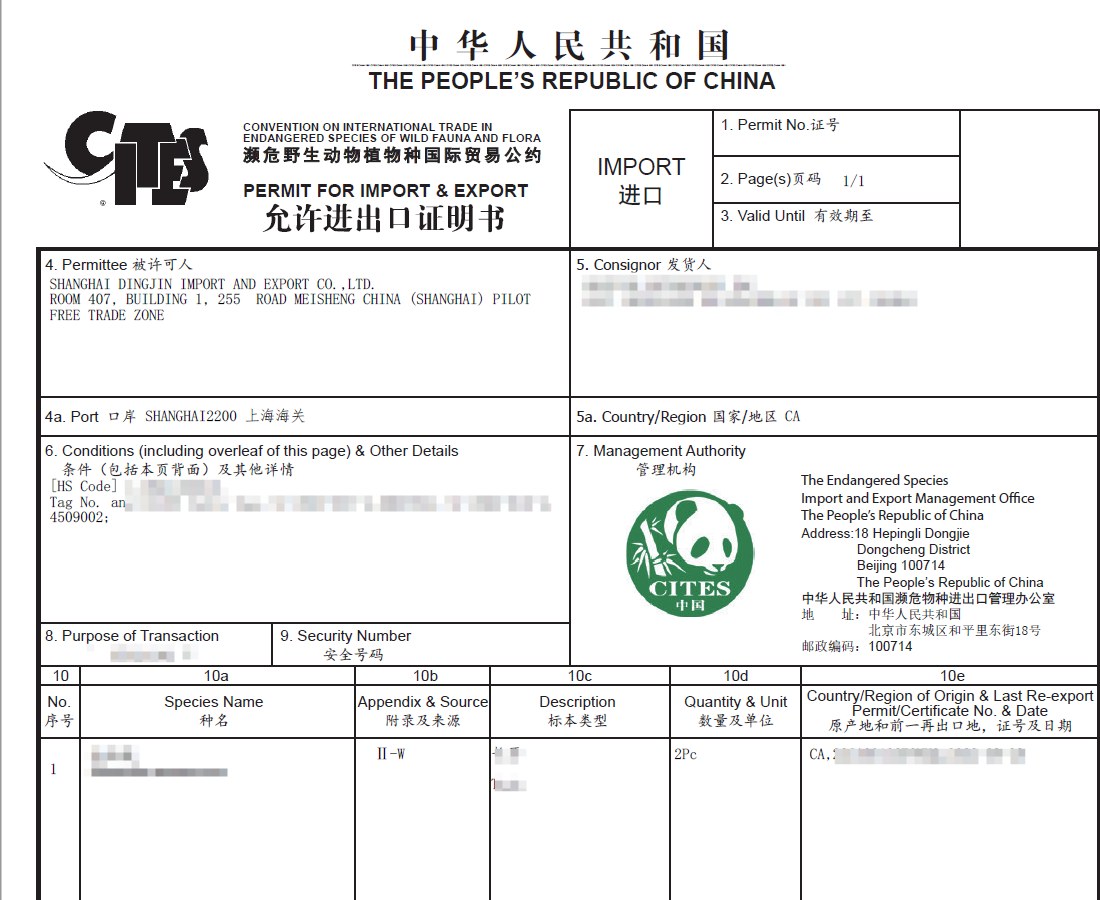 国家濒管办核发的濒危野生动植物种国际贸易公约允许进口证明书样张——昆虫标本进口清关必备单证
